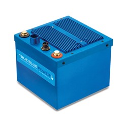 Show details for TB17 Picture of TB17