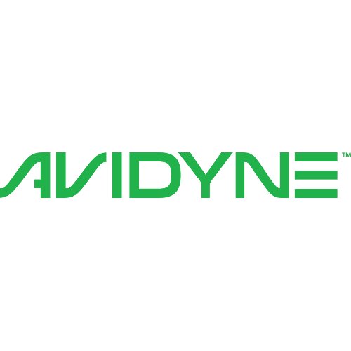 Avidyne Image